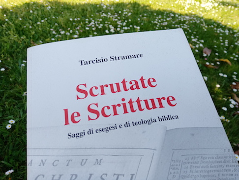 <Scrutate le Scritture>